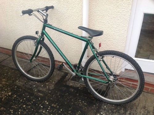 Original raleigh amazon - original,